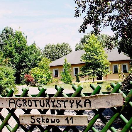 Agroturystyka Pod Modrzewiami Nowy Tomyśl Exteriér fotografie