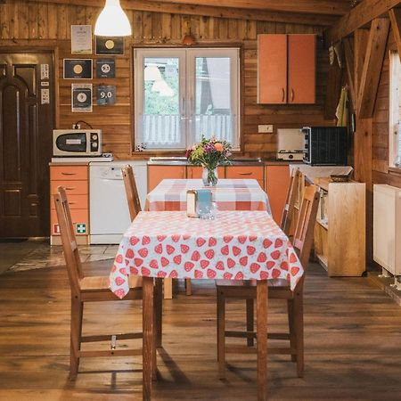 Agroturystyka Pod Modrzewiami Nowy Tomyśl Exteriér fotografie