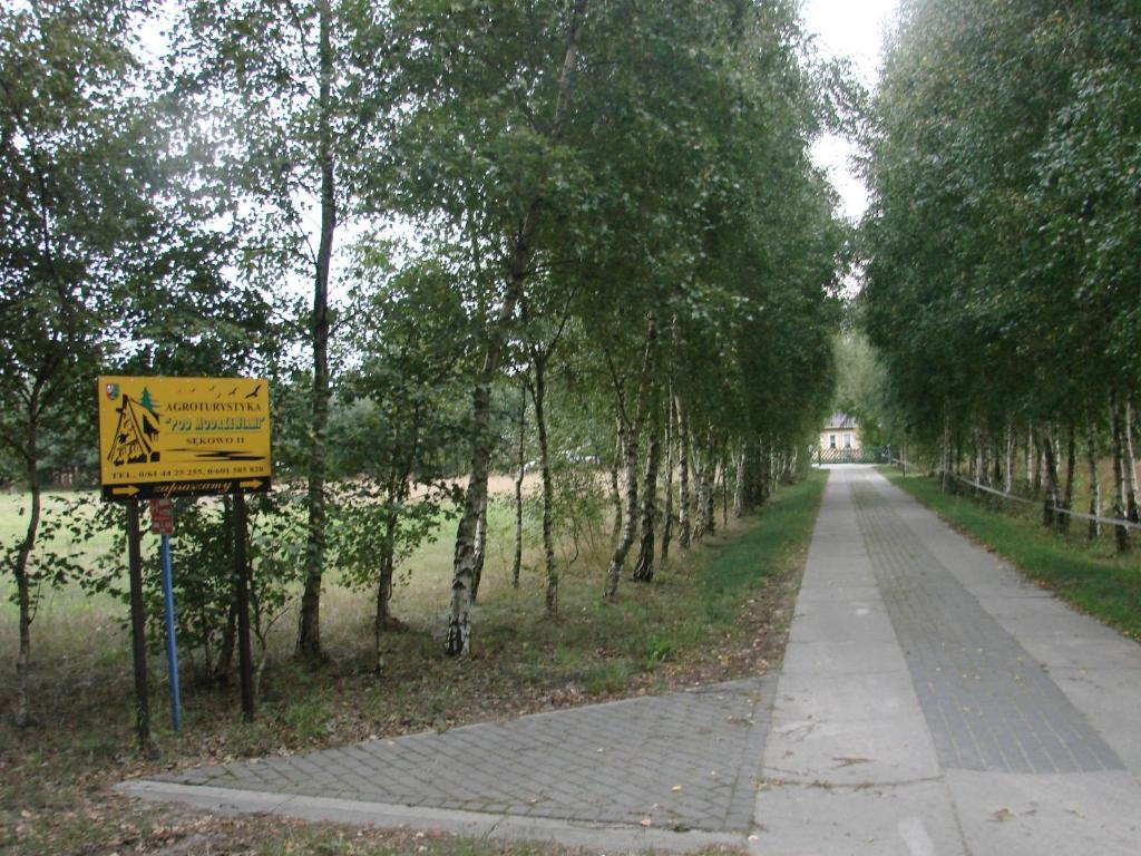 Agroturystyka Pod Modrzewiami Nowy Tomyśl Exteriér fotografie