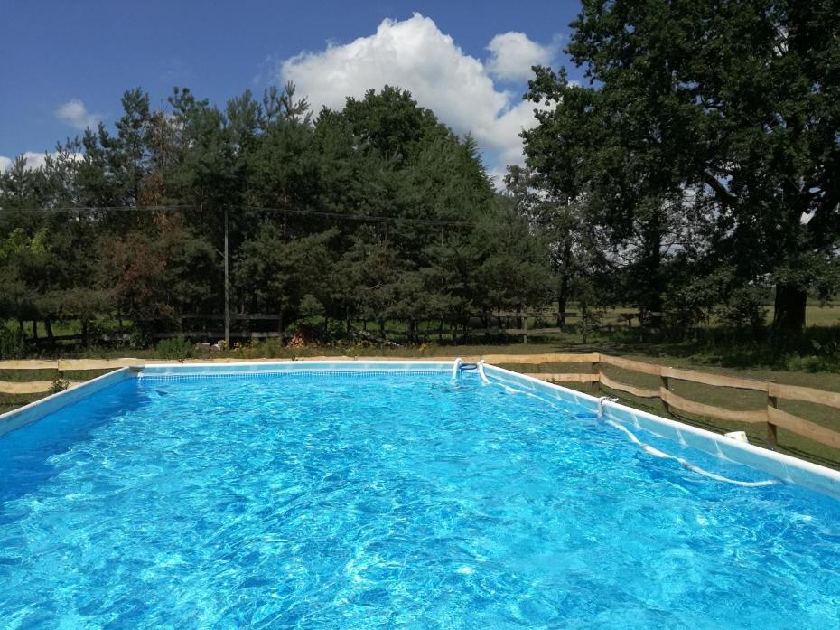 Agroturystyka Pod Modrzewiami Nowy Tomyśl Exteriér fotografie