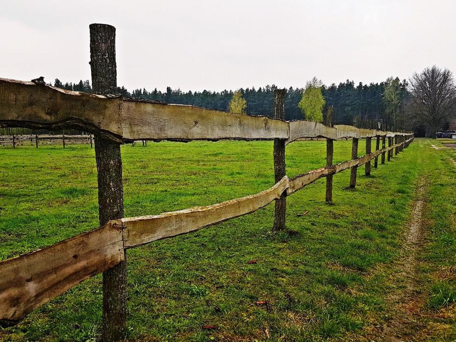 Agroturystyka Pod Modrzewiami Nowy Tomyśl Exteriér fotografie
