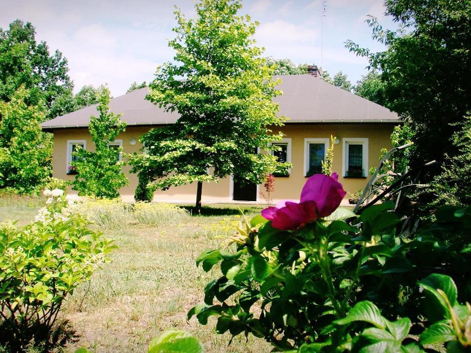 Agroturystyka Pod Modrzewiami Nowy Tomyśl Exteriér fotografie