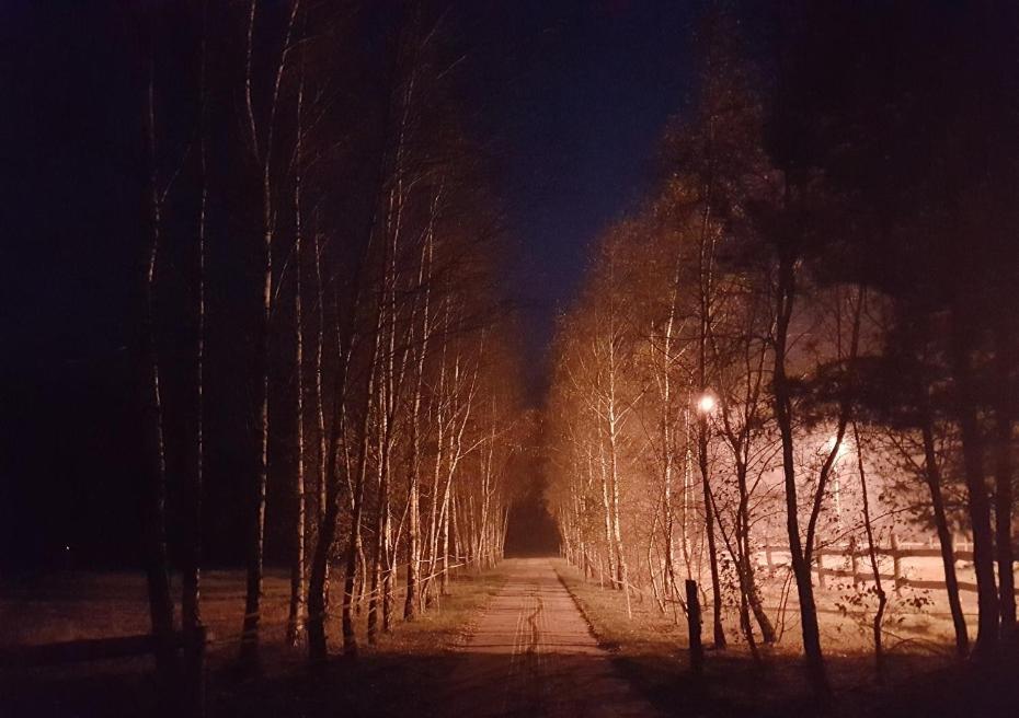 Agroturystyka Pod Modrzewiami Nowy Tomyśl Exteriér fotografie